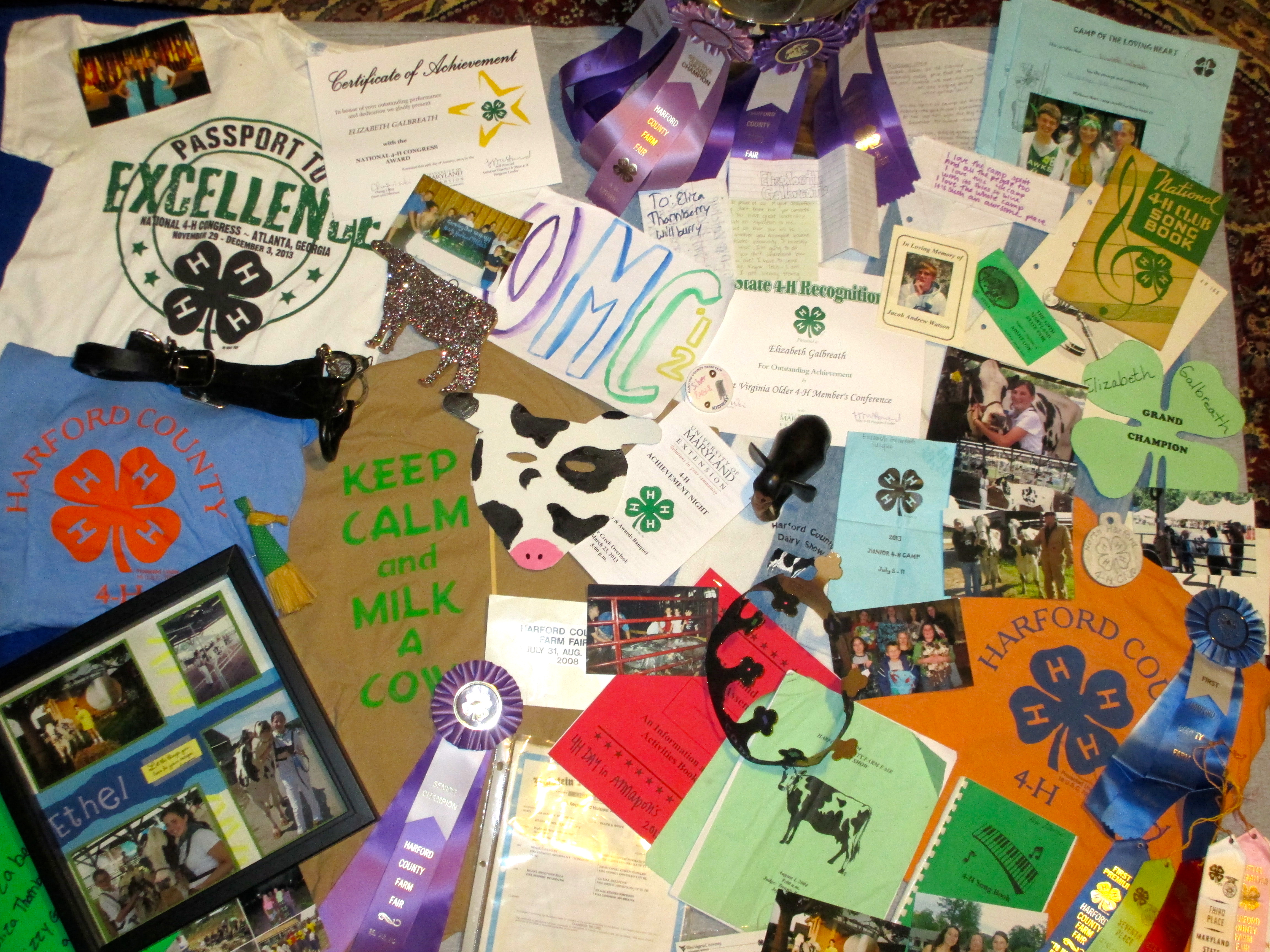 Looking Back at My 4-H Career