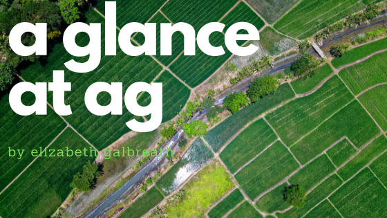 A Glance at Ag #8: COVID-19 & Meat Supply