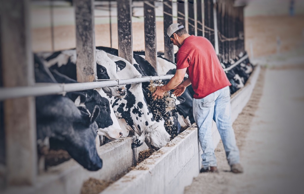 The “Who” Behind Your Food